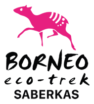 SABERKAS Unit Borneo Eco Trek